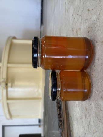 Miel de Abeja Negra Canaria ( 250gr )